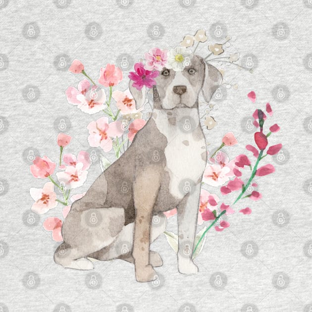 Floral Catahoula by TrapperWeasel